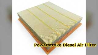 FA2031 LC3Z9601E Air Filter Ford Powerstroke Diesel